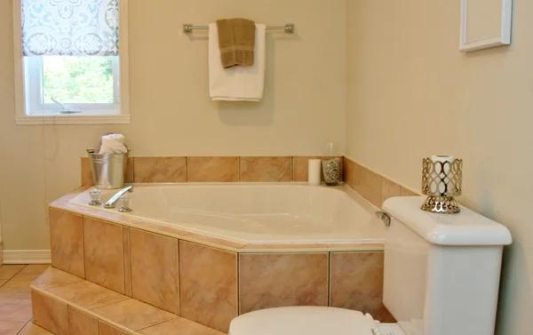 Affordable Options for Bathroom Remodeling in Valrico