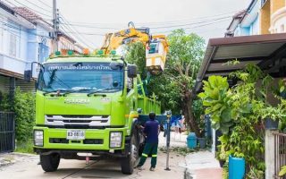 Tree Removal and Replacement in Stanfordville