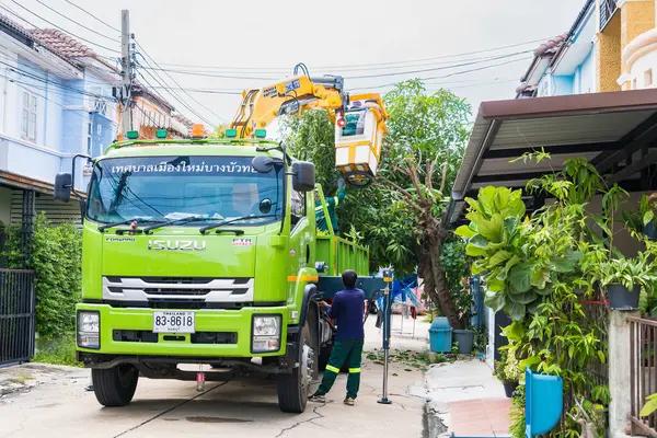 Tree Removal and Replacement in Stanfordville