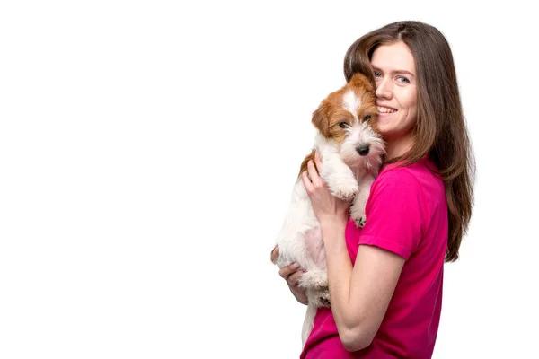 Dog Boarding Pensacola – Giving Your Pet a Home Away