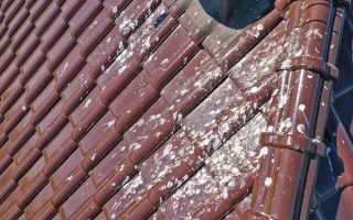 Transform Your Roof with Skilled Chambersburg Roofing Services