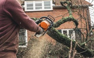 Fast and Efficient Tree Trimming Service