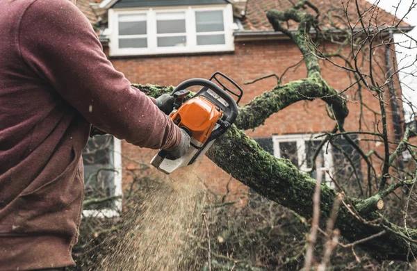 Fast and Efficient Tree Trimming Service