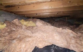 Top Benefits of Professional Crawlspace Encapsulation Services
