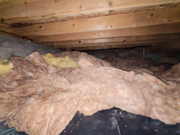 Top Benefits of Professional Crawlspace Encapsulation Services