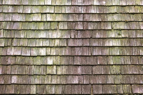 Affordable Roofing Seattle Services for Homes and Businesses