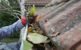 Premium Safe Flow Gutter Services Backed by Experience